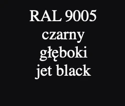 RAL 9005
